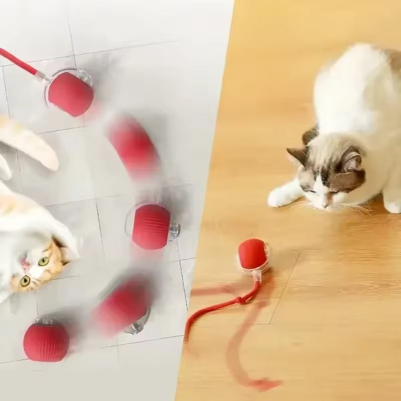 La MagicBall Pro™ - Balle Interactive intelligente et Innovante pour chats et chiens
