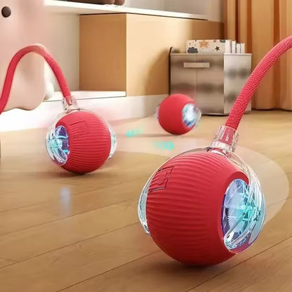 La MagicBall Pro™ - Balle Interactive intelligente et Innovante pour chats et chiens